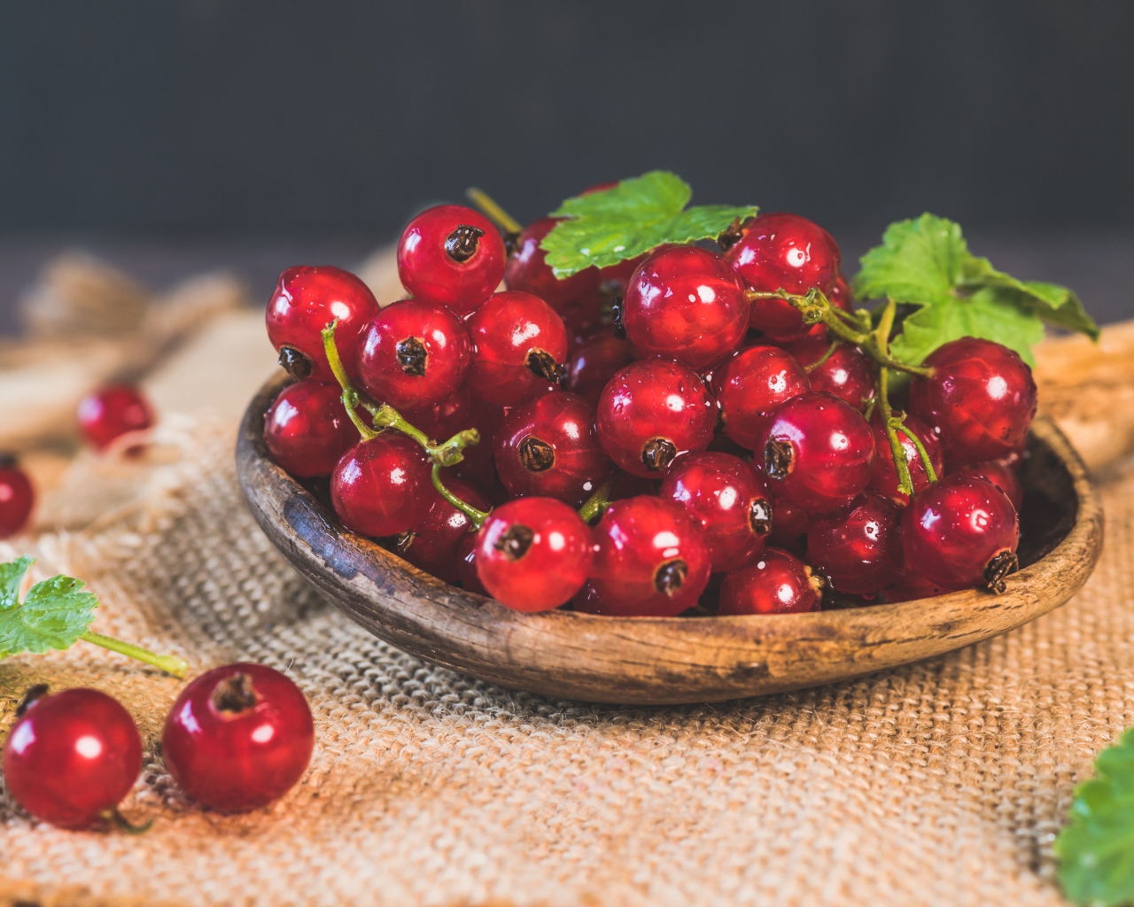 Красивая спелая красная смородина 