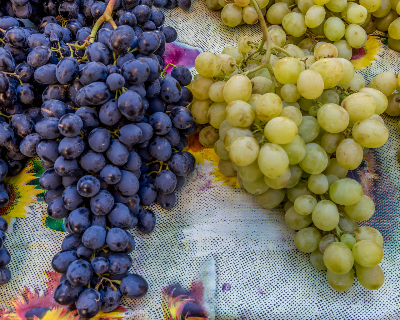 Большие гроздья синего и белого винограда на столе