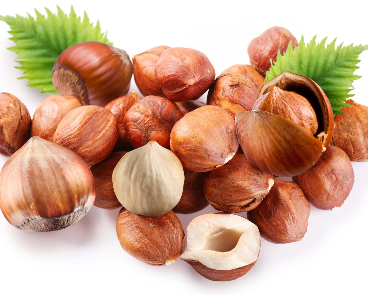 Много лесных орехов на белом фоне