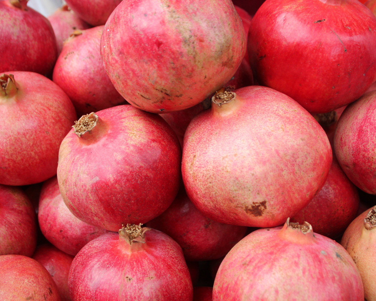 Много красных плодов граната крупным планом