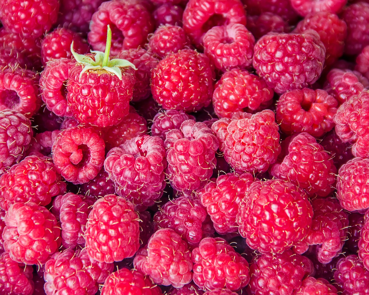 Вкусная спелая малина крупным планом