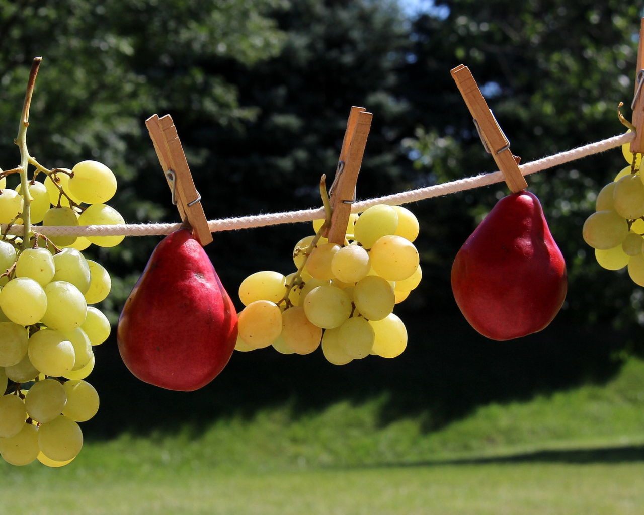 Белый виноград и красные груши на веревке