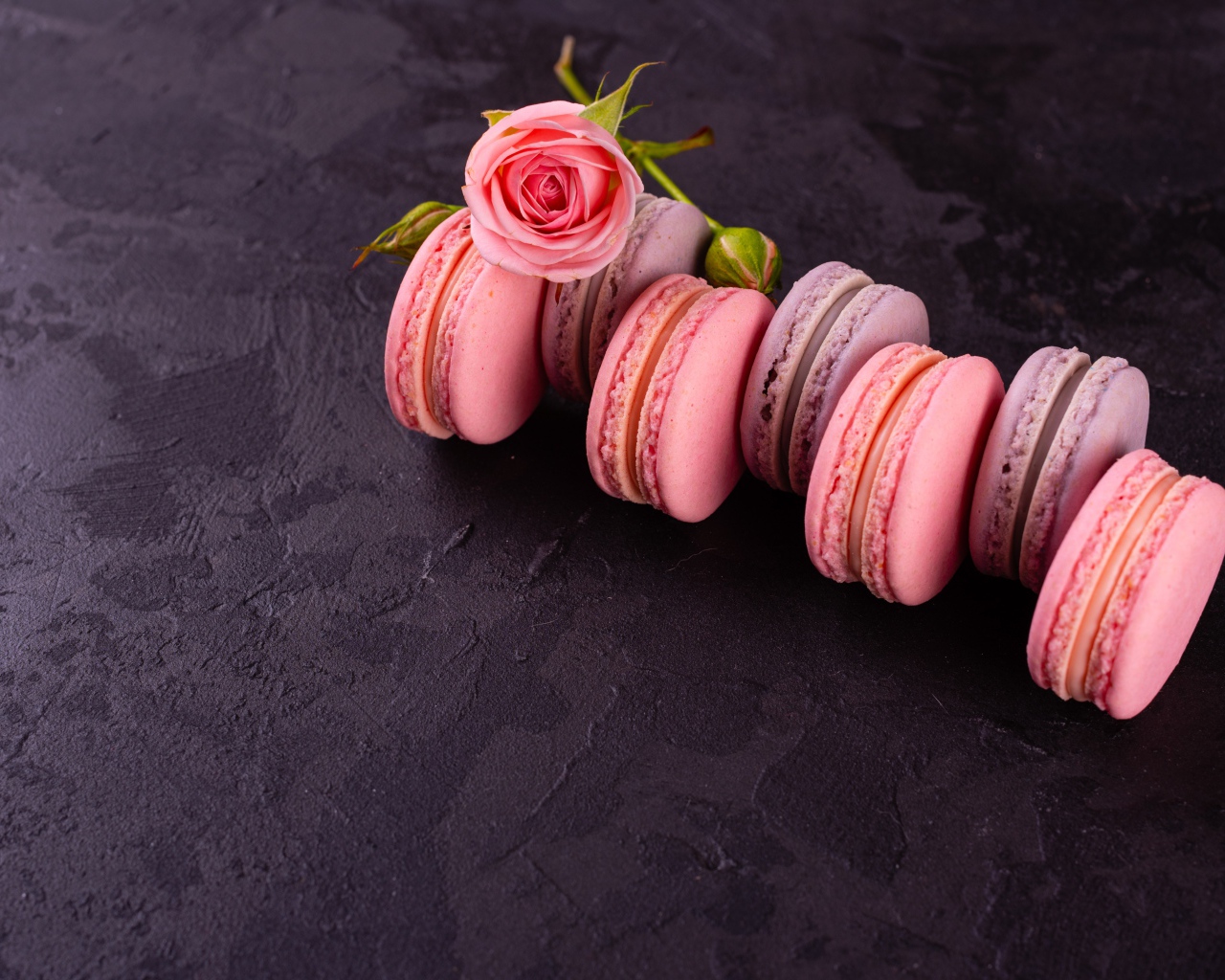 Аппетитный сладкий десерт макарон на серой поверхности с розой 