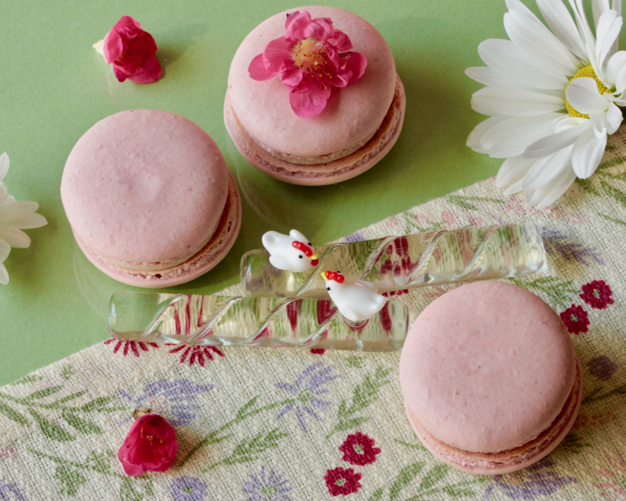 Розовый десерт макарон на столе с белыми цветами ромашек