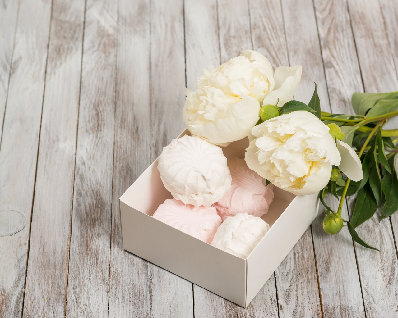 Белые пионы на столе с зефиром 