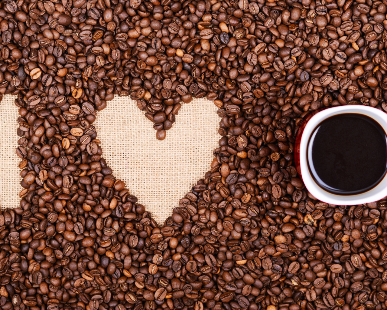 Чашка с кофе стоит на кофейных зернах 