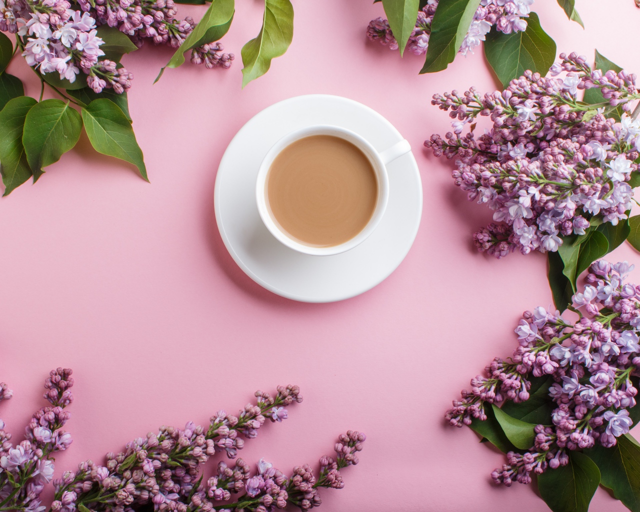 Белая чашка с какао на розовом фоне с цветами сирени