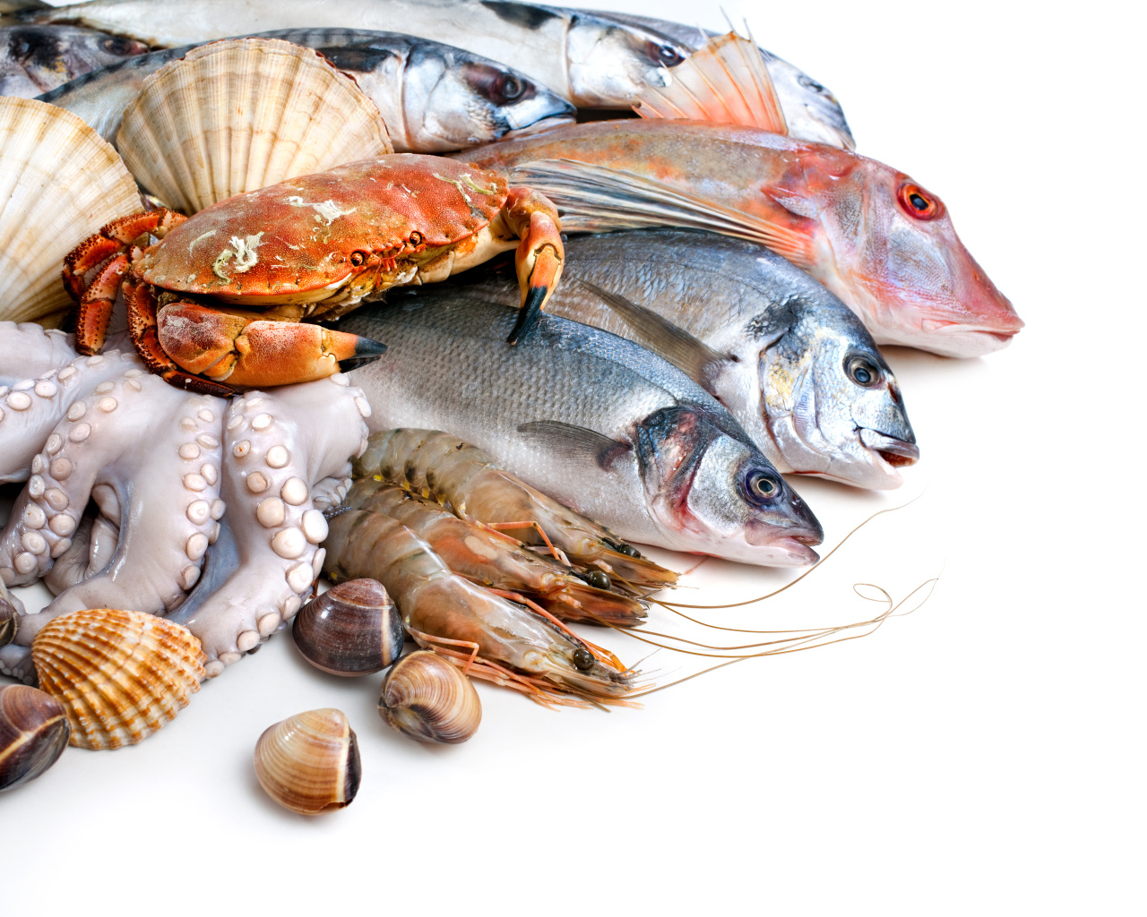 Много различных морепродуктов на белом фоне