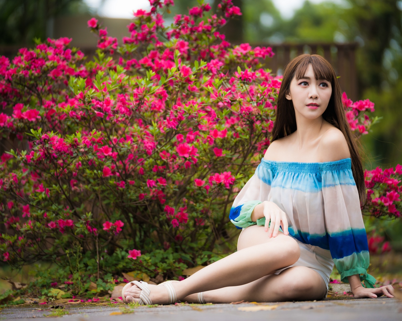Молодая девушка азиатка сидит у куста с розовыми цветами