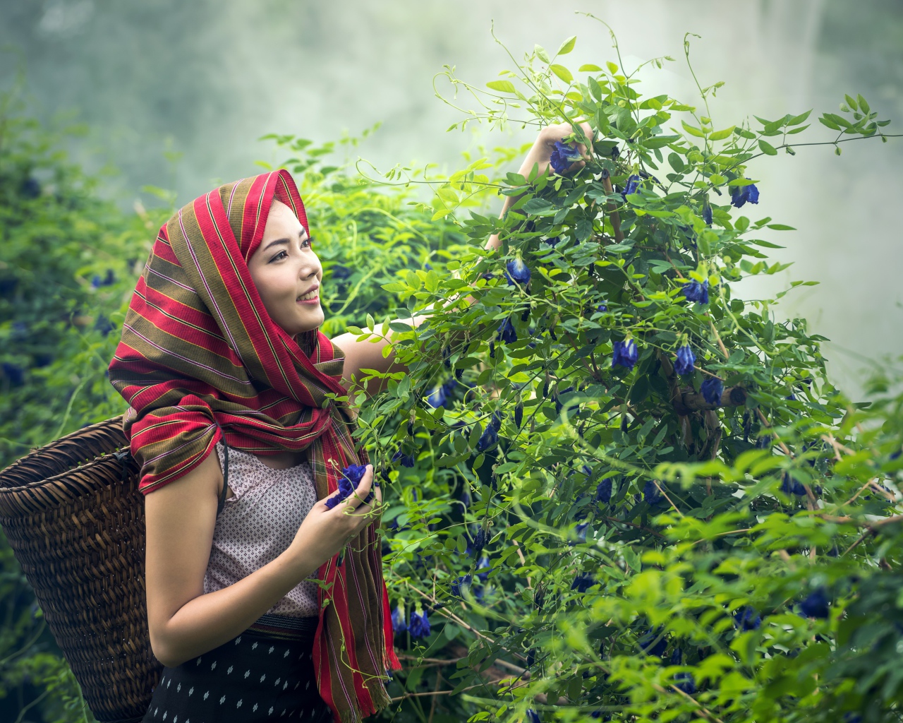 Девушка азиатка собирает цветы в корзину