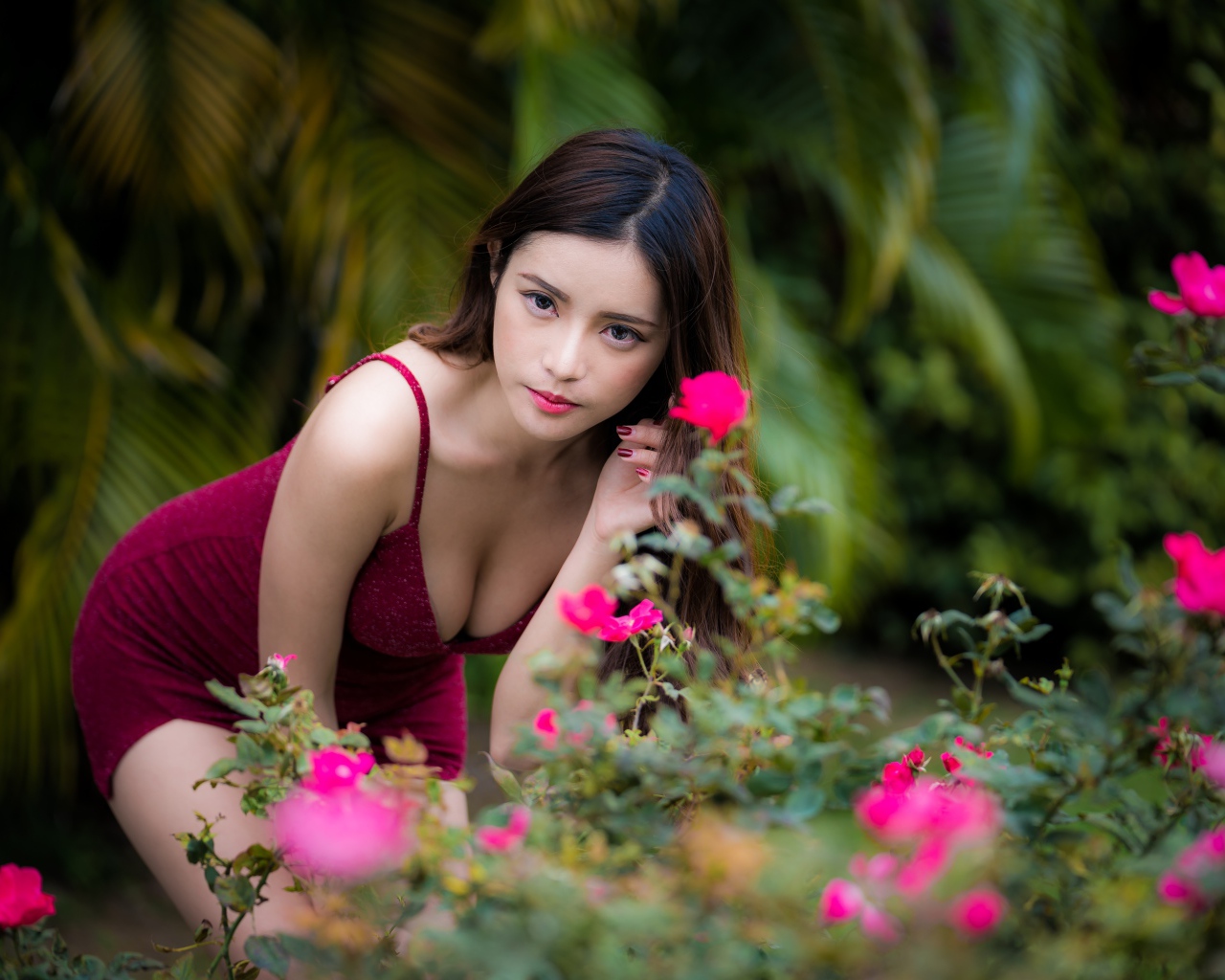 Девушка азиатка в красивом красном платье у куста роз