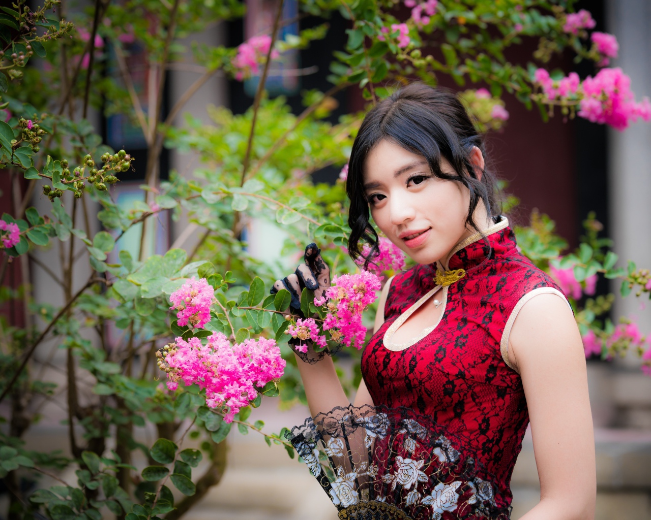 Красивая азиатка с веером в руках стоит у куста с розовыми цветами