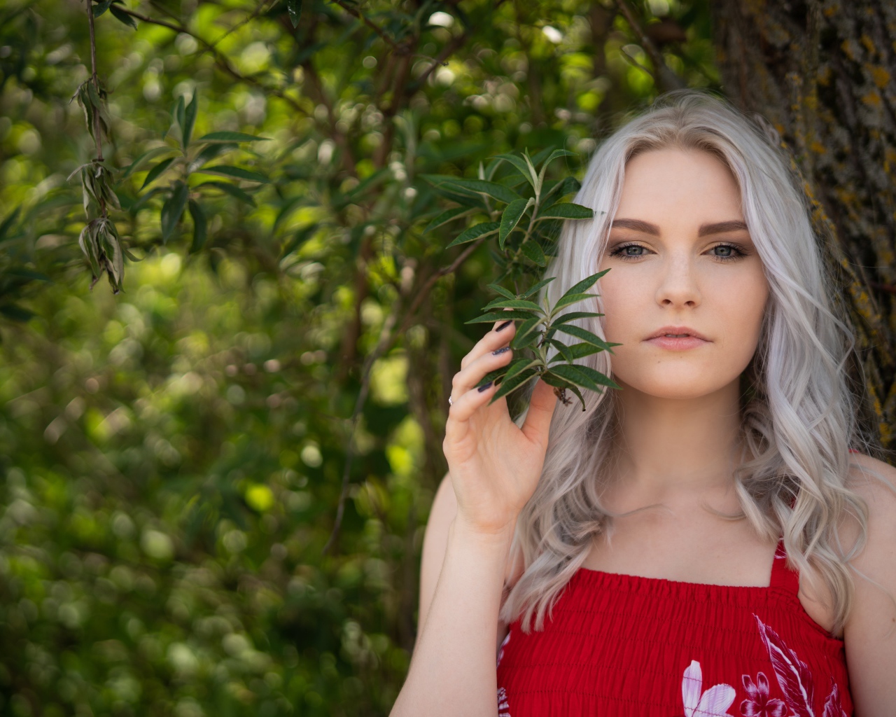 Красивая блондинка стоит у дерева 