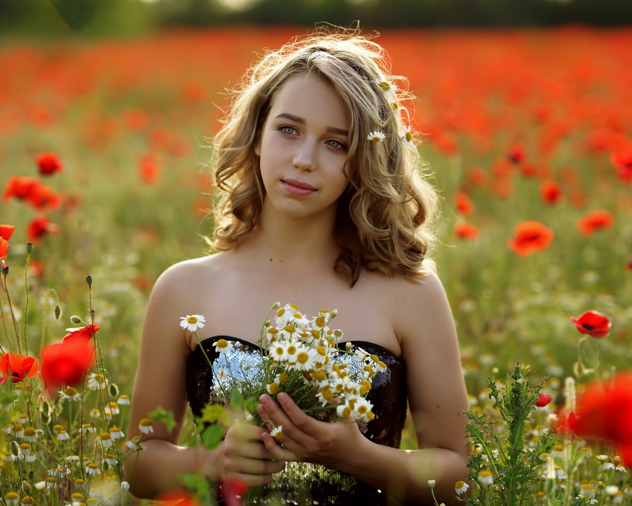 Красивая девушка с букетом ромашек на поле с маками