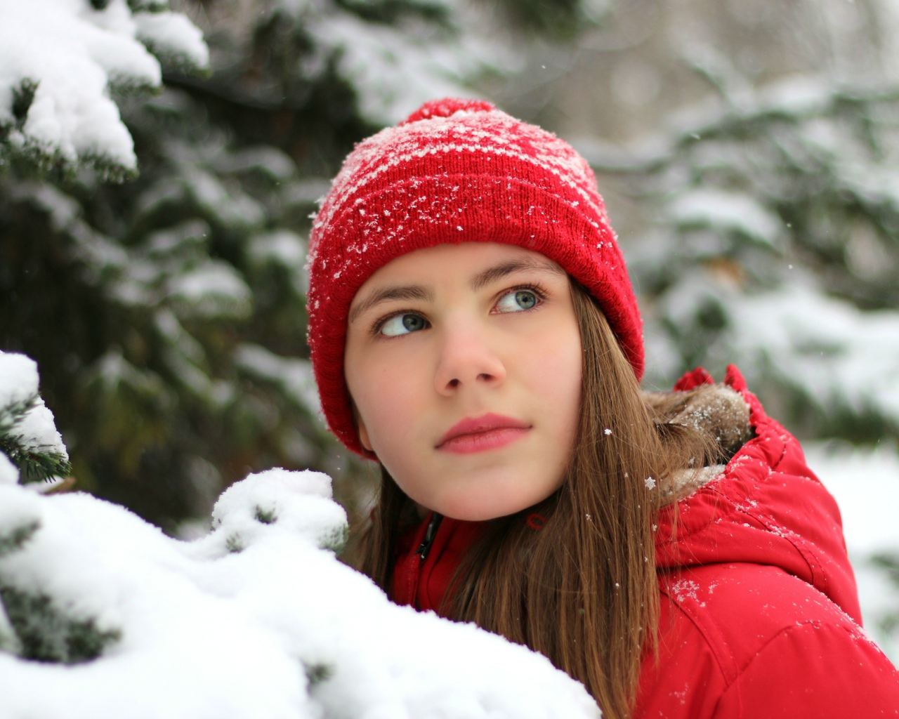 Красивая молодая девушка в красной шапке у заснеженной ели