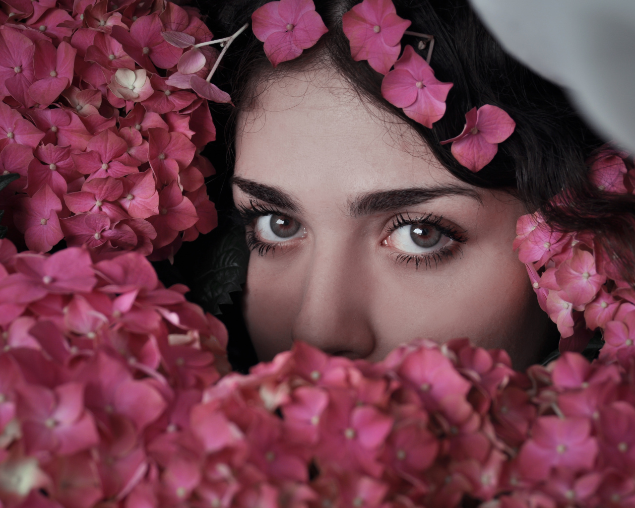 Лицо девушки в розовых цветах гортензии