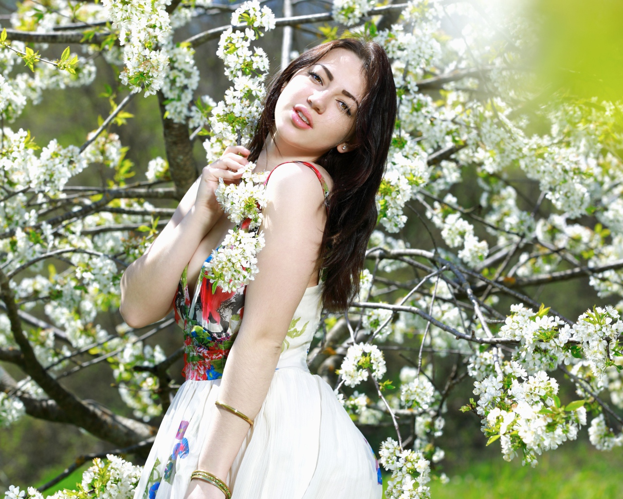 Длинноволосая девушка стоит у цветущей вишни 