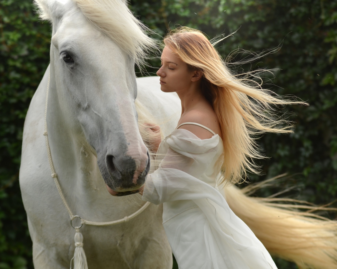Нежная девушка в белом платье с лошадью 