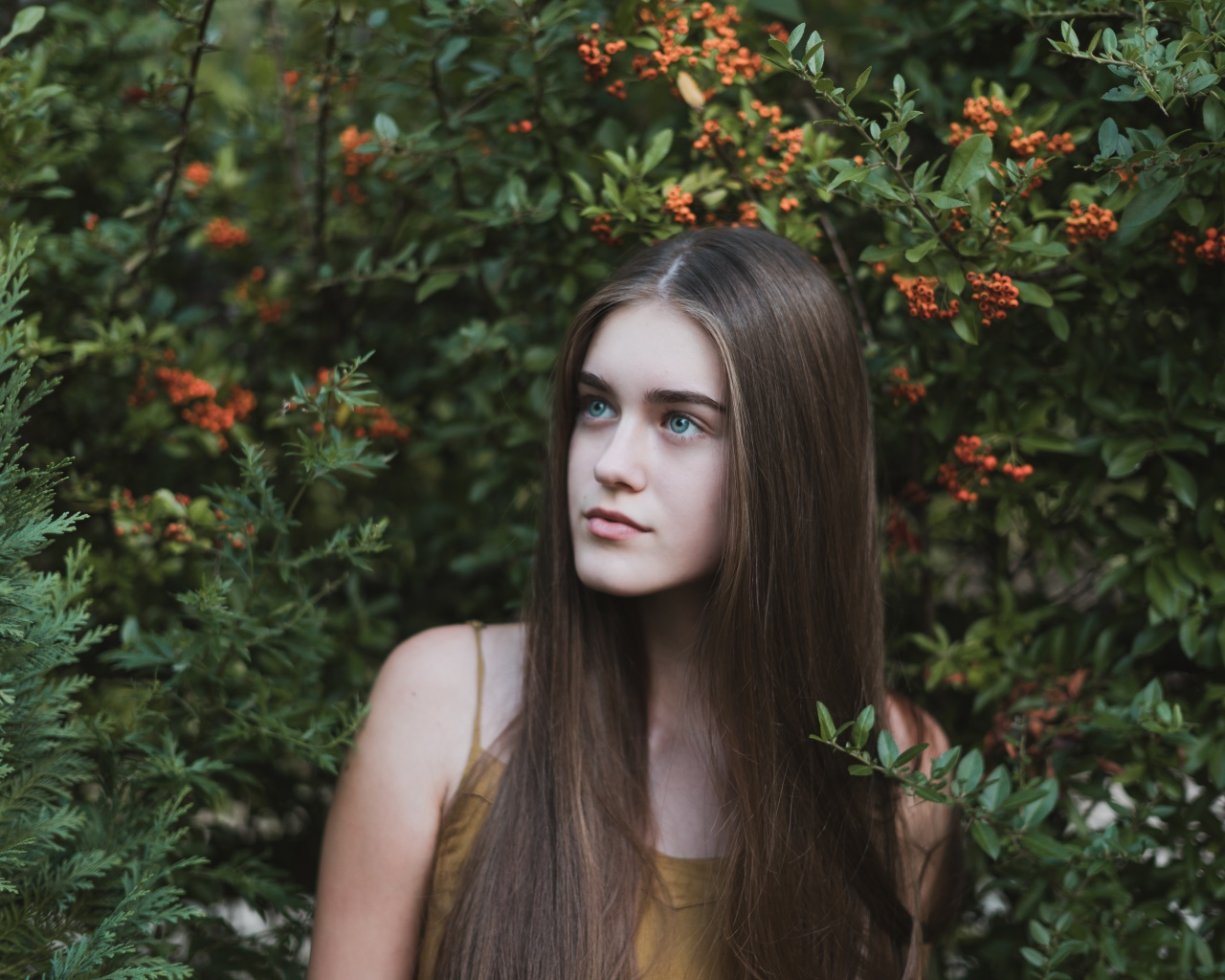 Молодая нежная девушка с длинными волосами в зеленых зарослях 