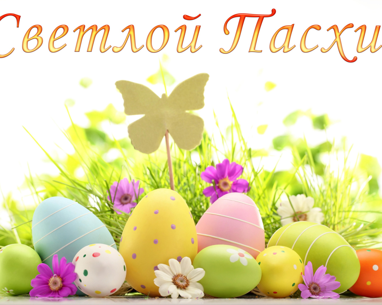Открытка Светлой Пасхи с крашеными яйцами
