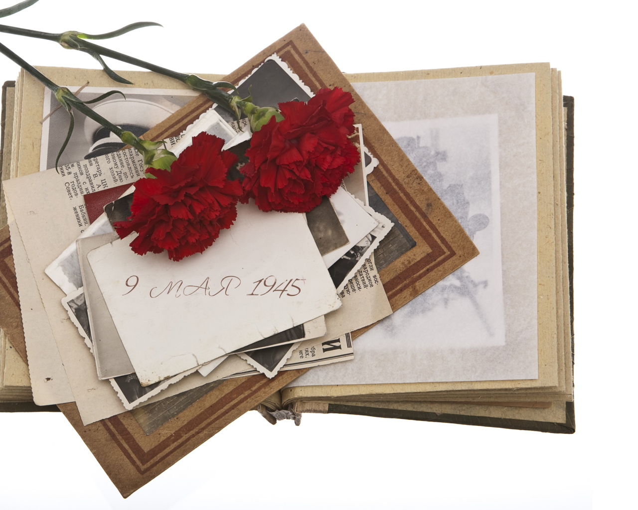 Военный альбом и две гвоздики на белом фоне на День Победы 9 мая 