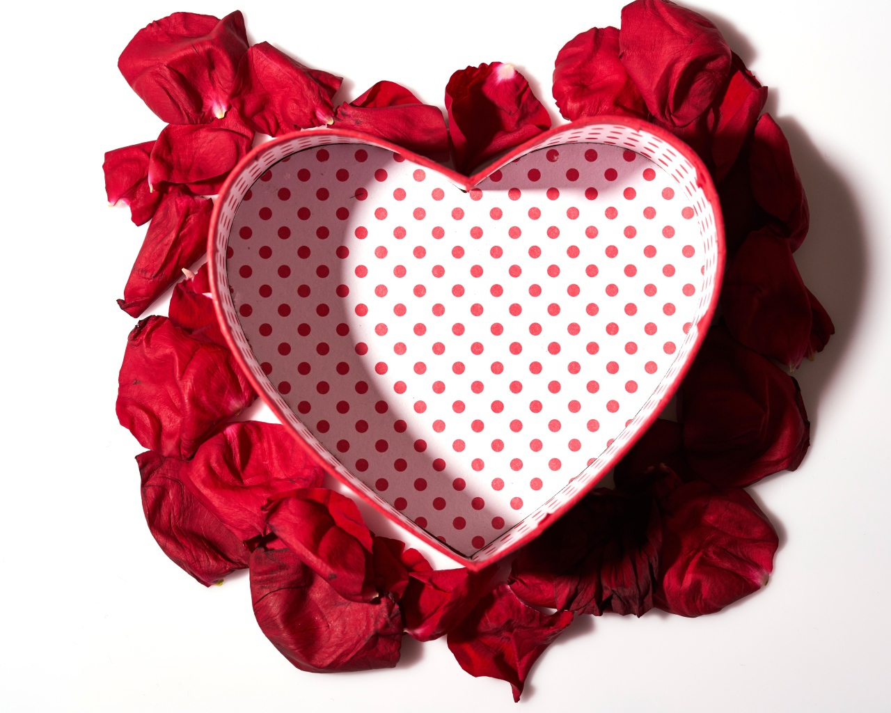 Подарочная коробка в форме сердца с лепестками красной розы на белом фоне