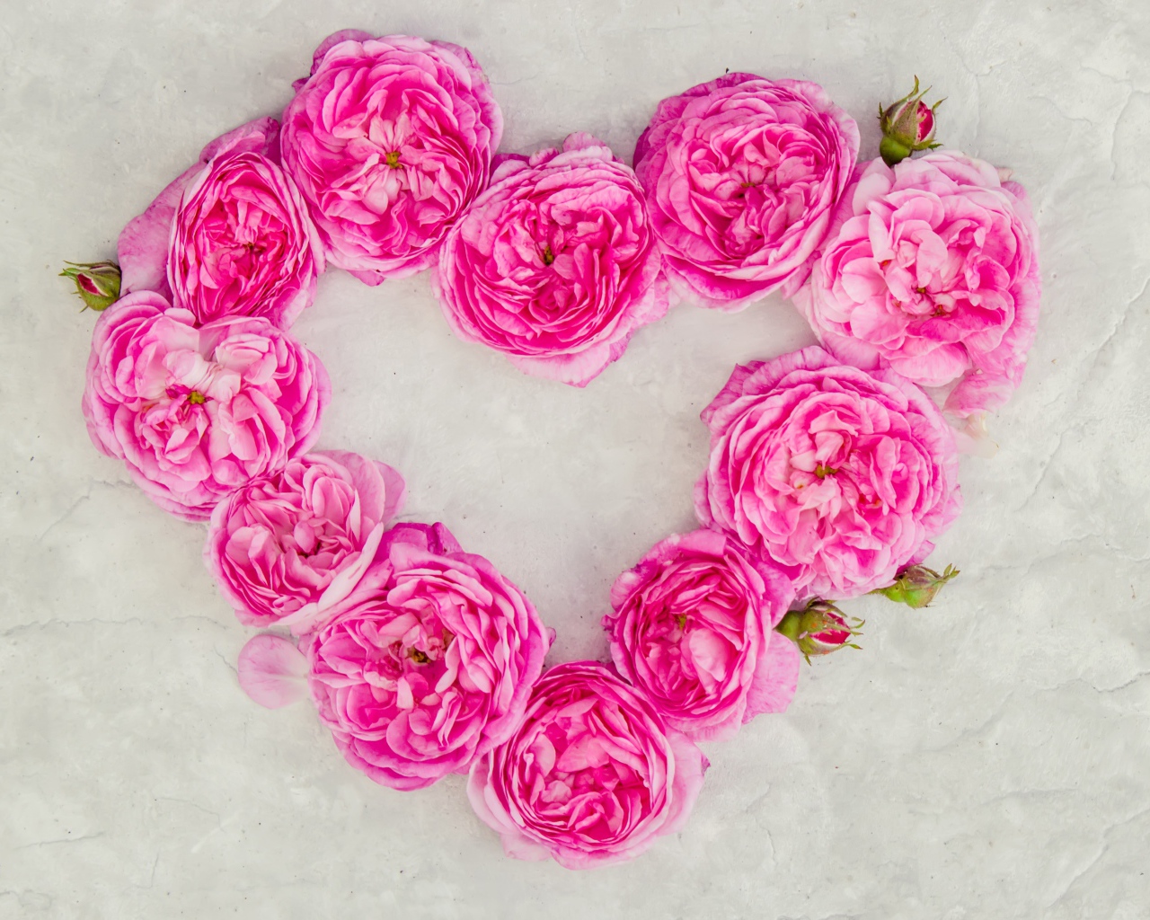 Сердце из розовых роз на сером фоне