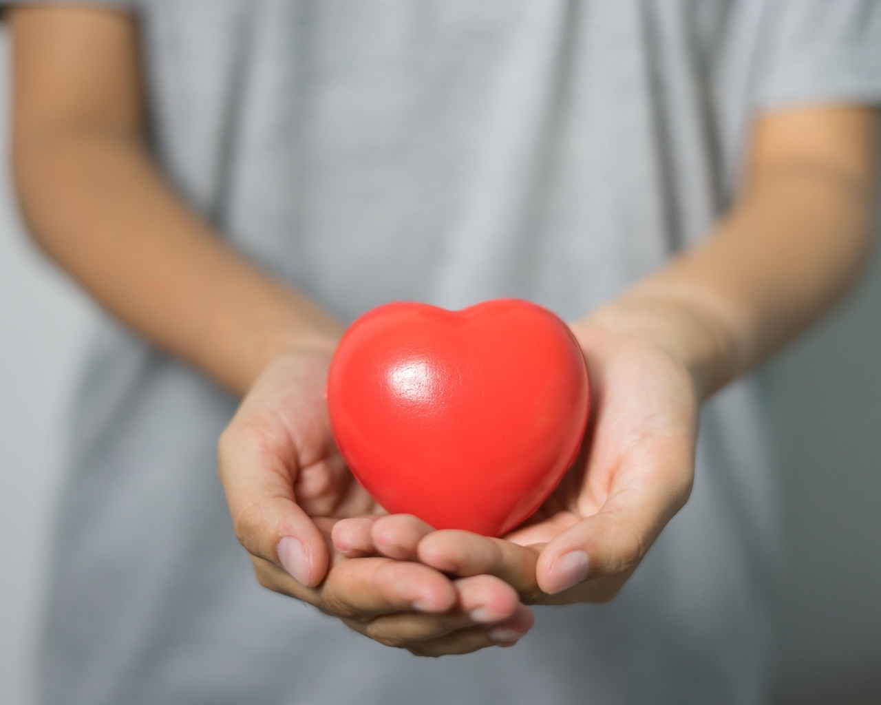 Красное сердце в ладонях 