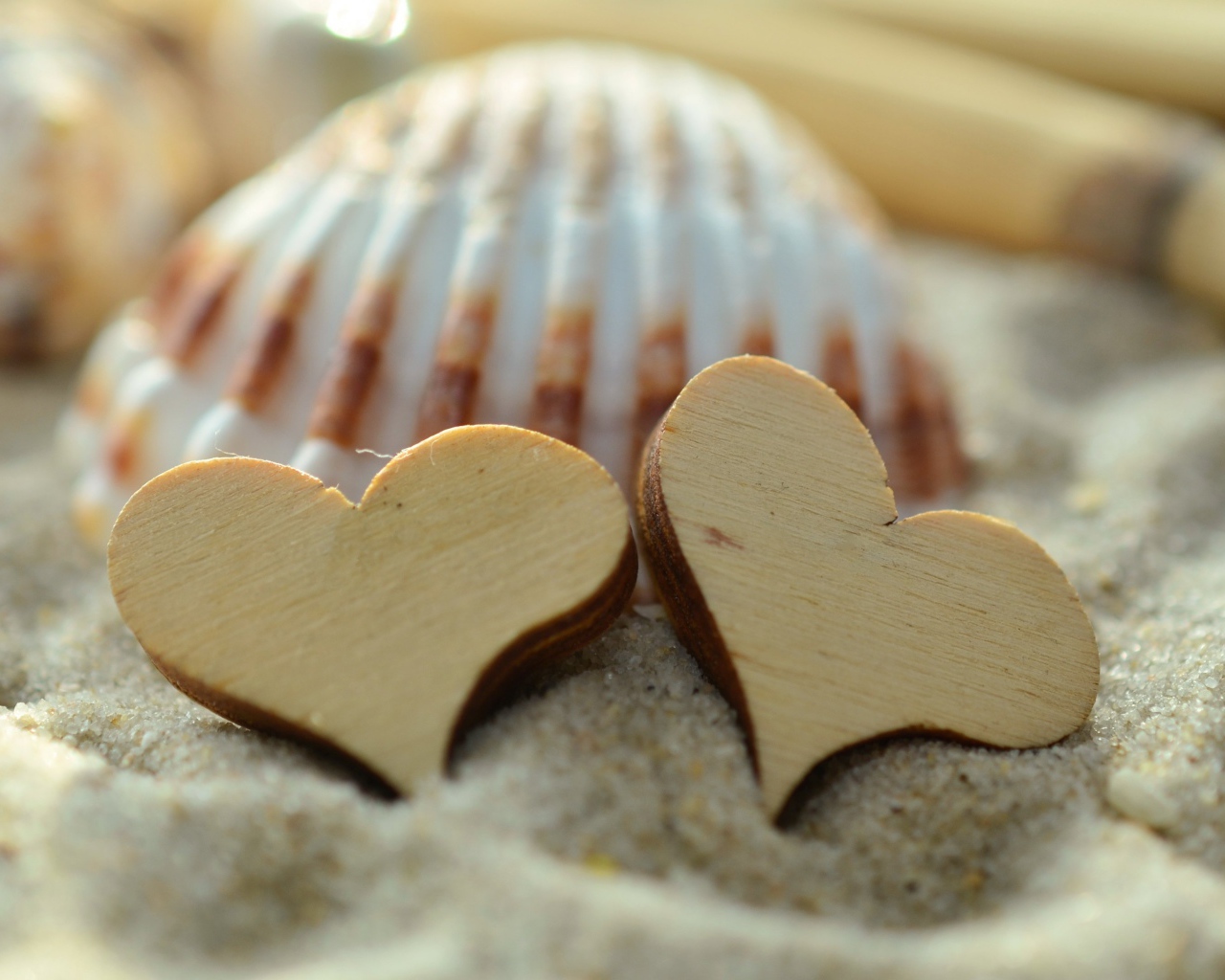 Два деревянных сердца и ракушки лежат на песке