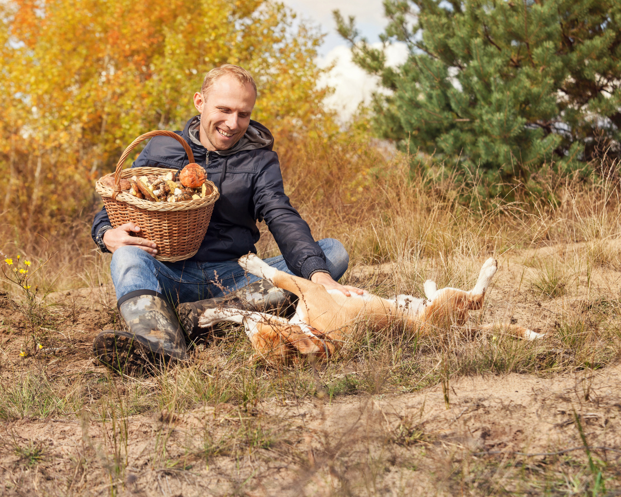 Мужчина собирает грибы с собакой в лесу