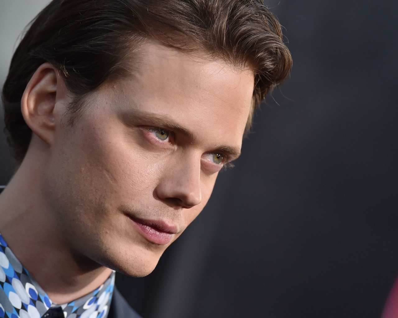 Актер Билл Скарсгорд лицо крупным планом