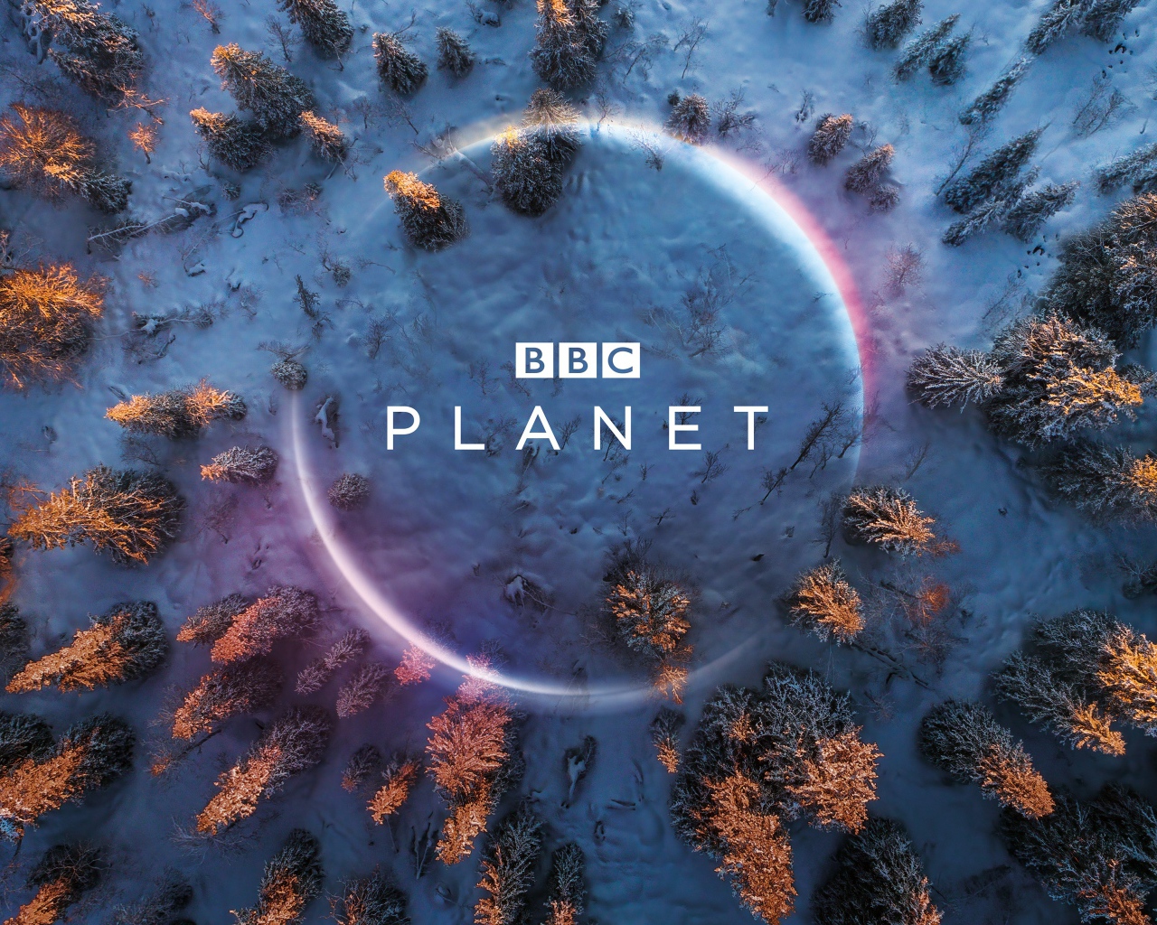 Постер программы BBC Planet