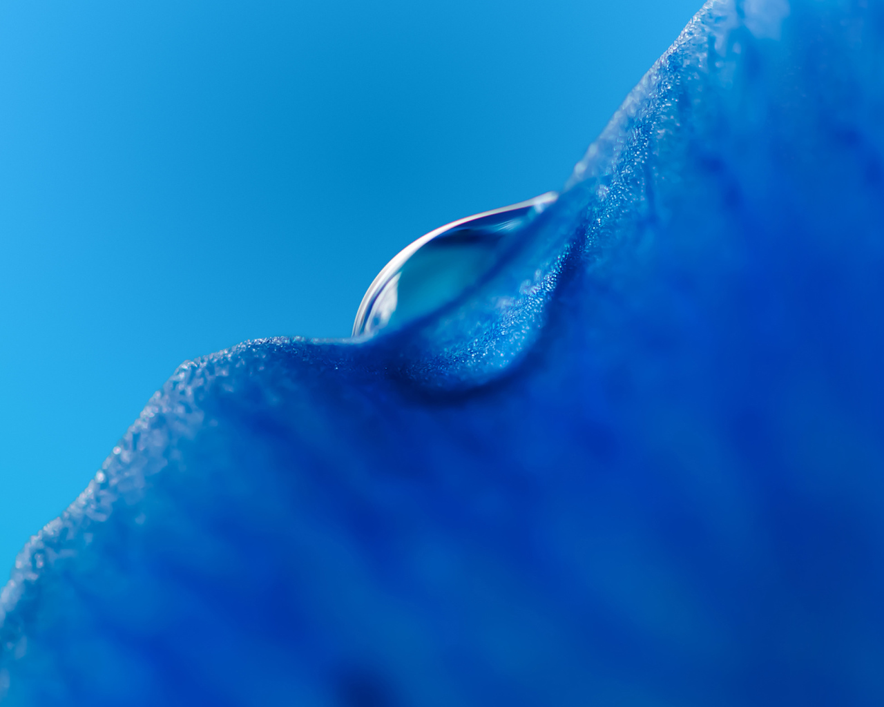 Капля воды на льду на голубом фоне