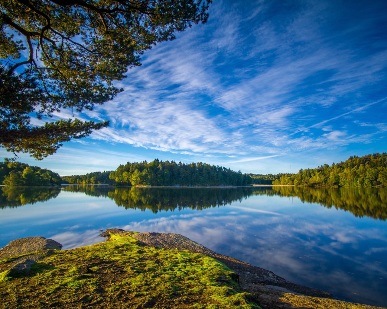 Голубое небо и зеленые деревья отражаются в воде