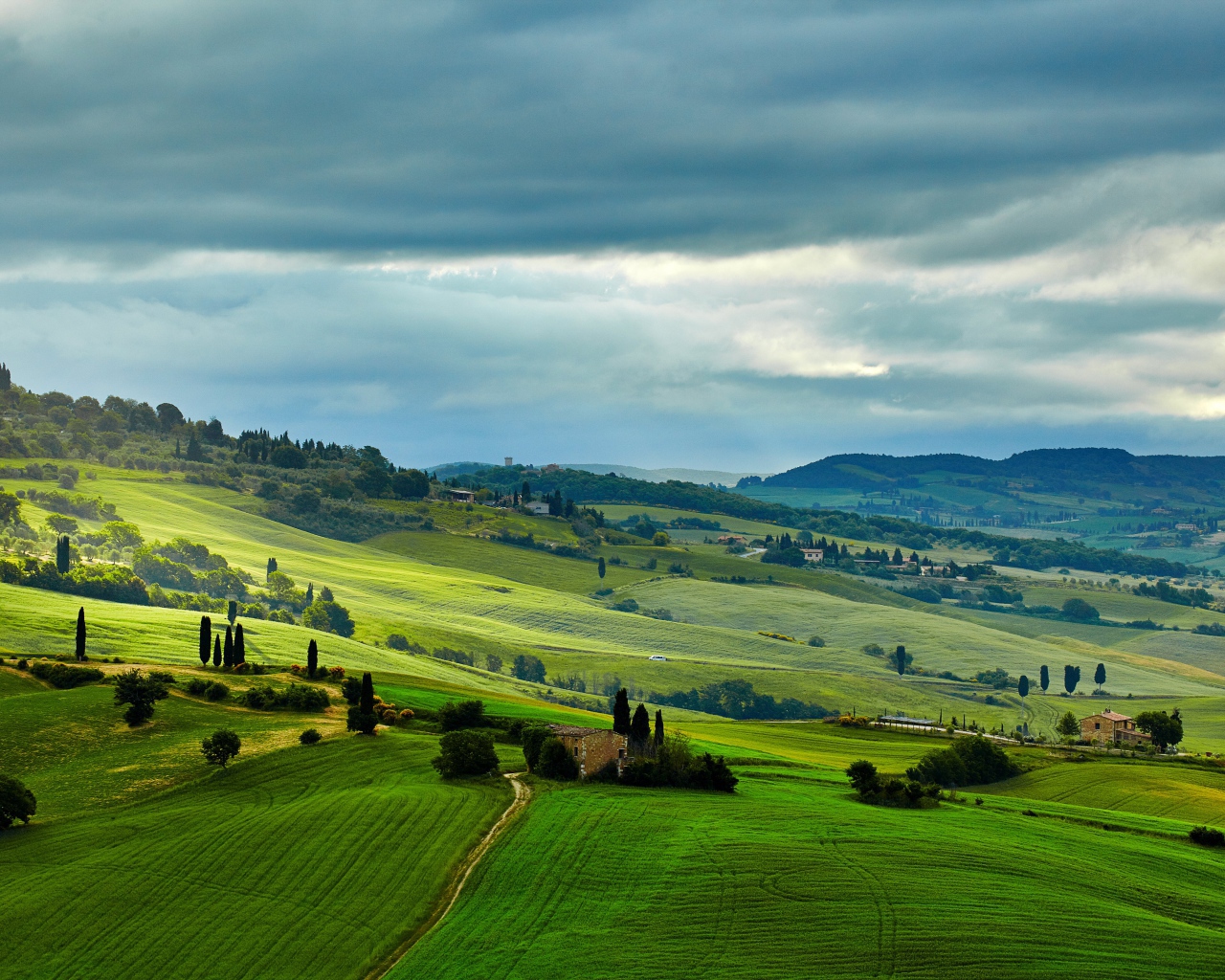 Зеленые поля под небом с грозовыми облаками