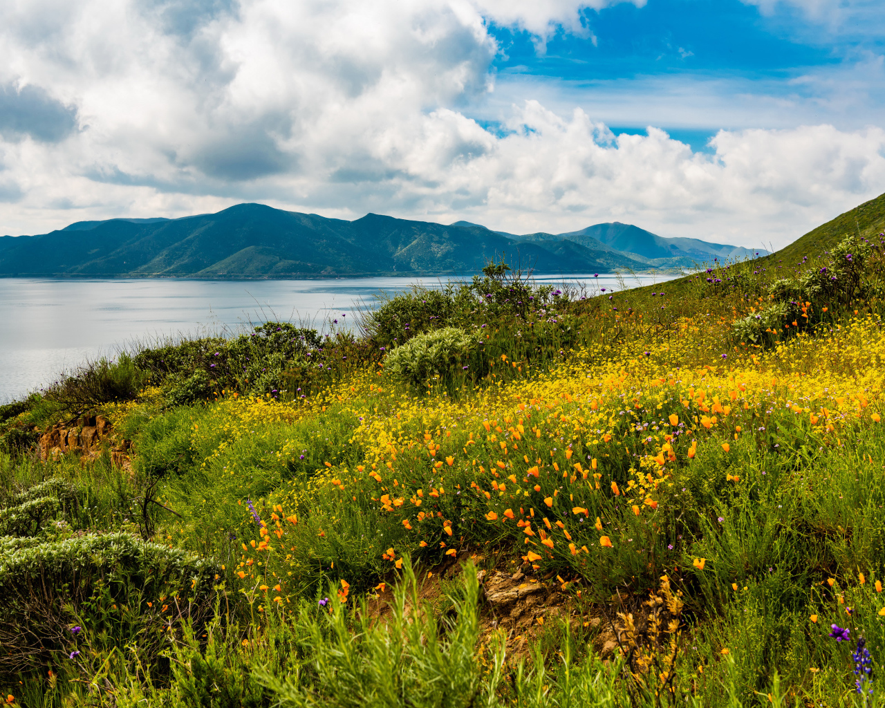 Зеленая трава на берегу озера у гор под голубым небом с облаками 