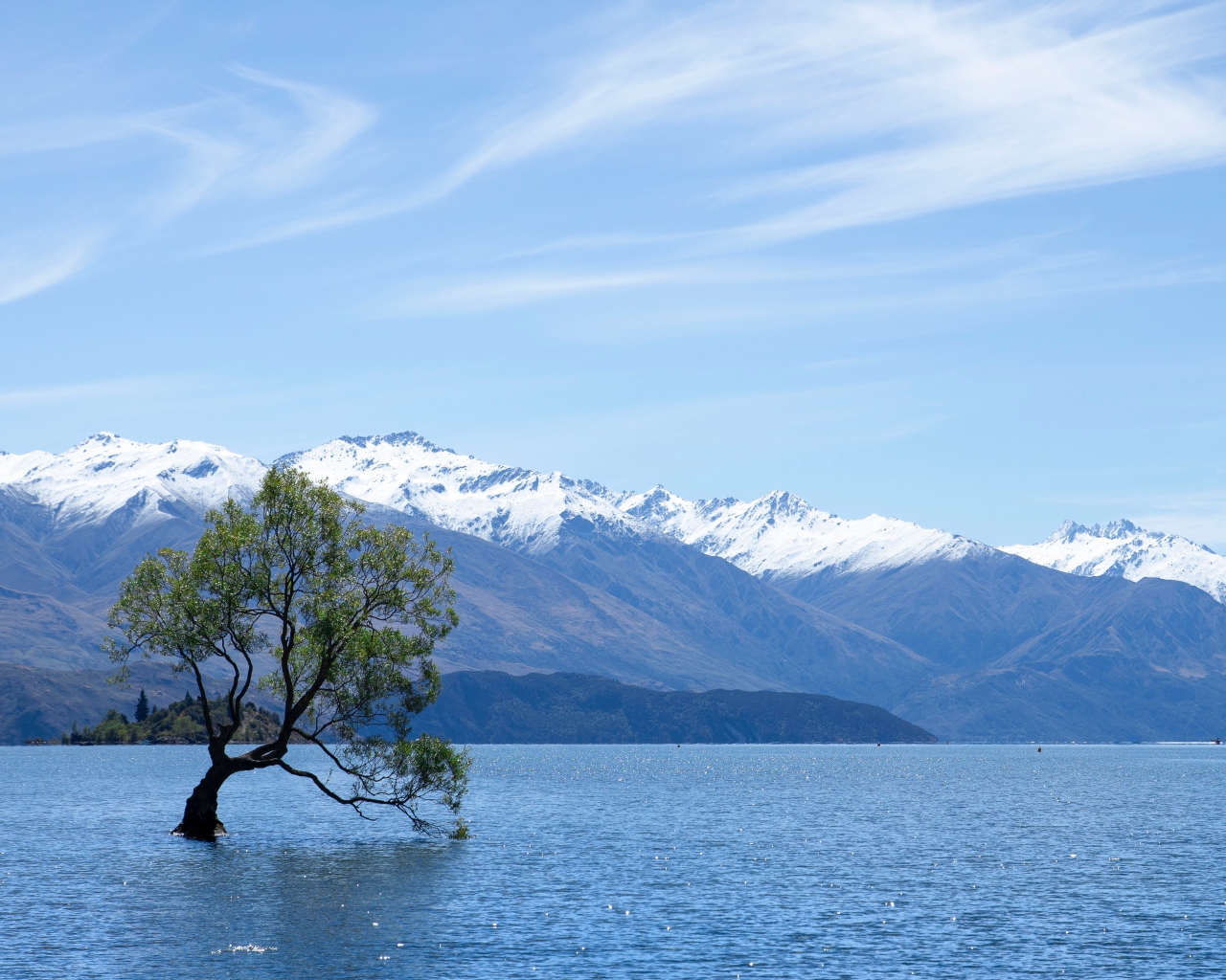 Одинокое дерево в воде на фоне гор под красивым небом