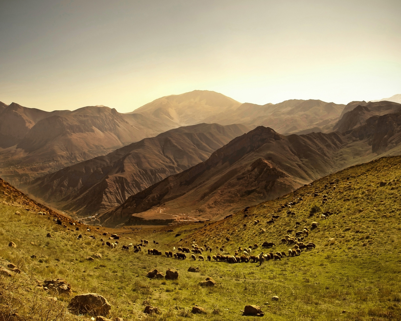 Покрытые травой холмы у гор 