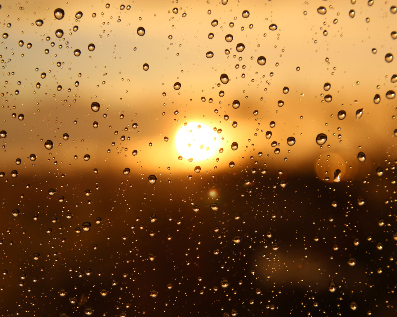 Капли дождя на стекле при свете солнца