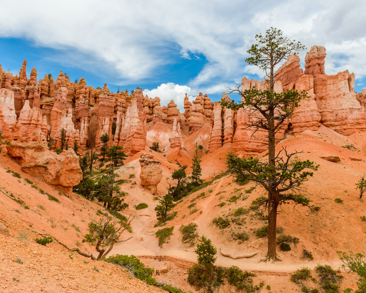 Живописный Брайс-Каньон под красивым небом, штат Юта, США