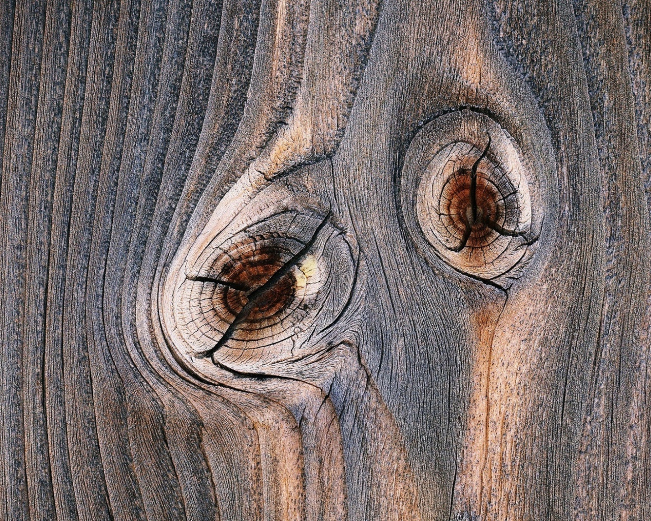 Следы от сучков с деревянной доске 