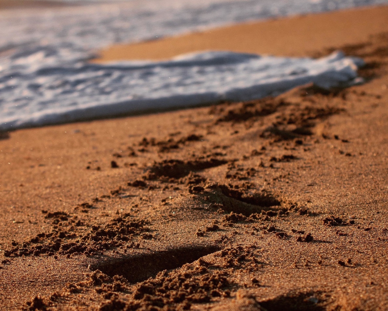 Следы на мокром морском песке с белой пеной