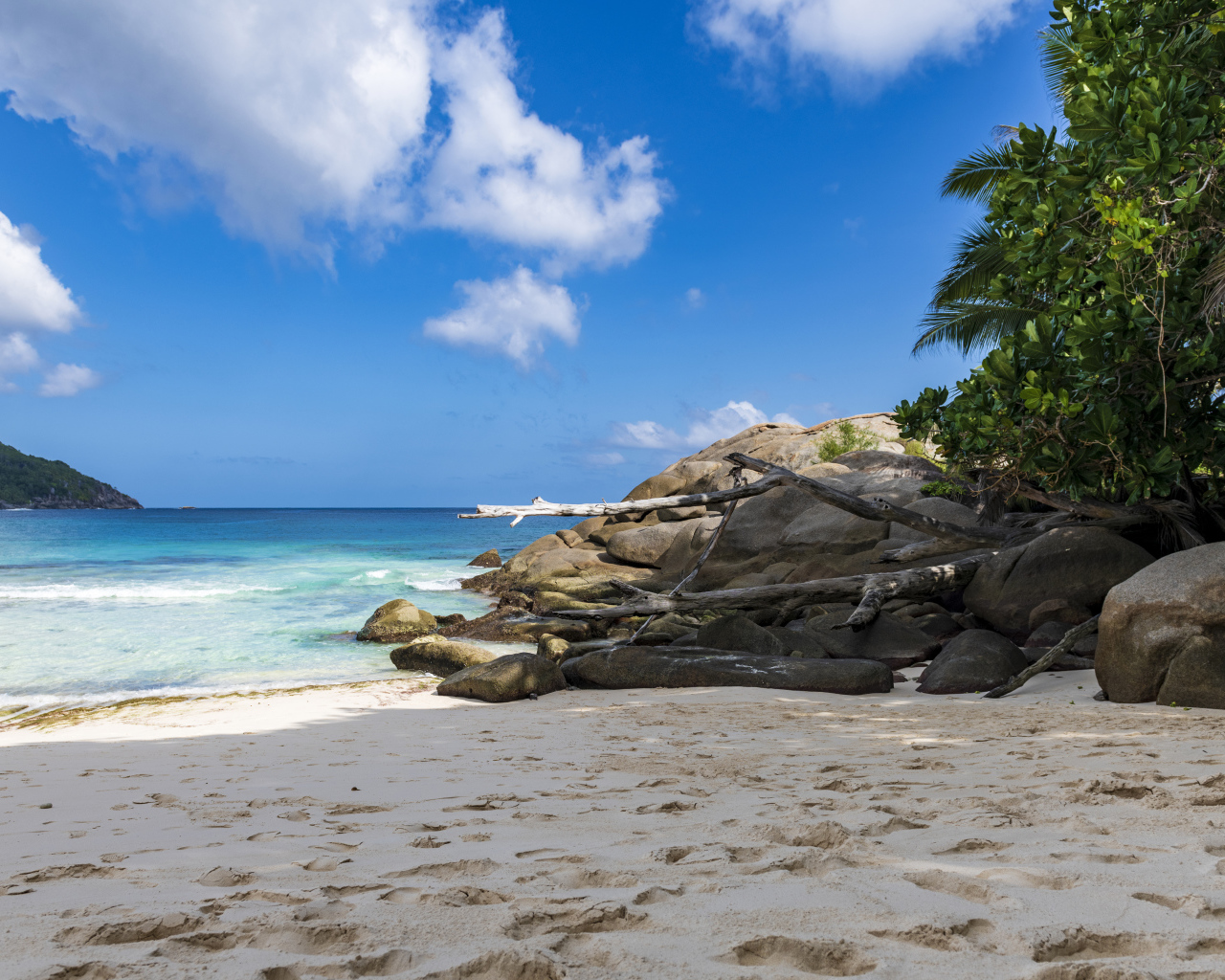 Камни на берегу океана на желтом песке под голубым небом