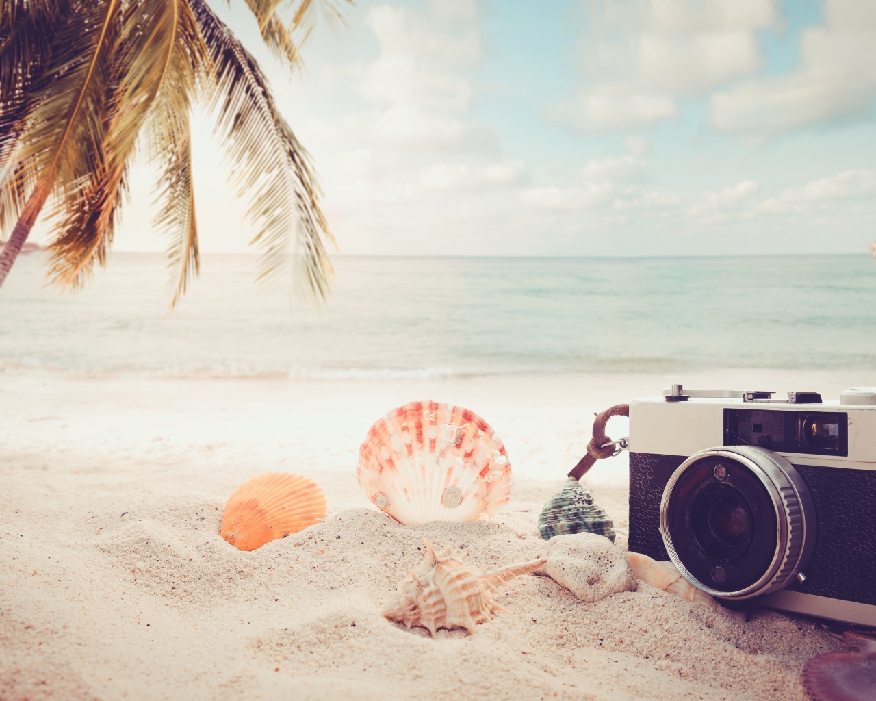 Фотоаппарат на пляже с ракушками у моря