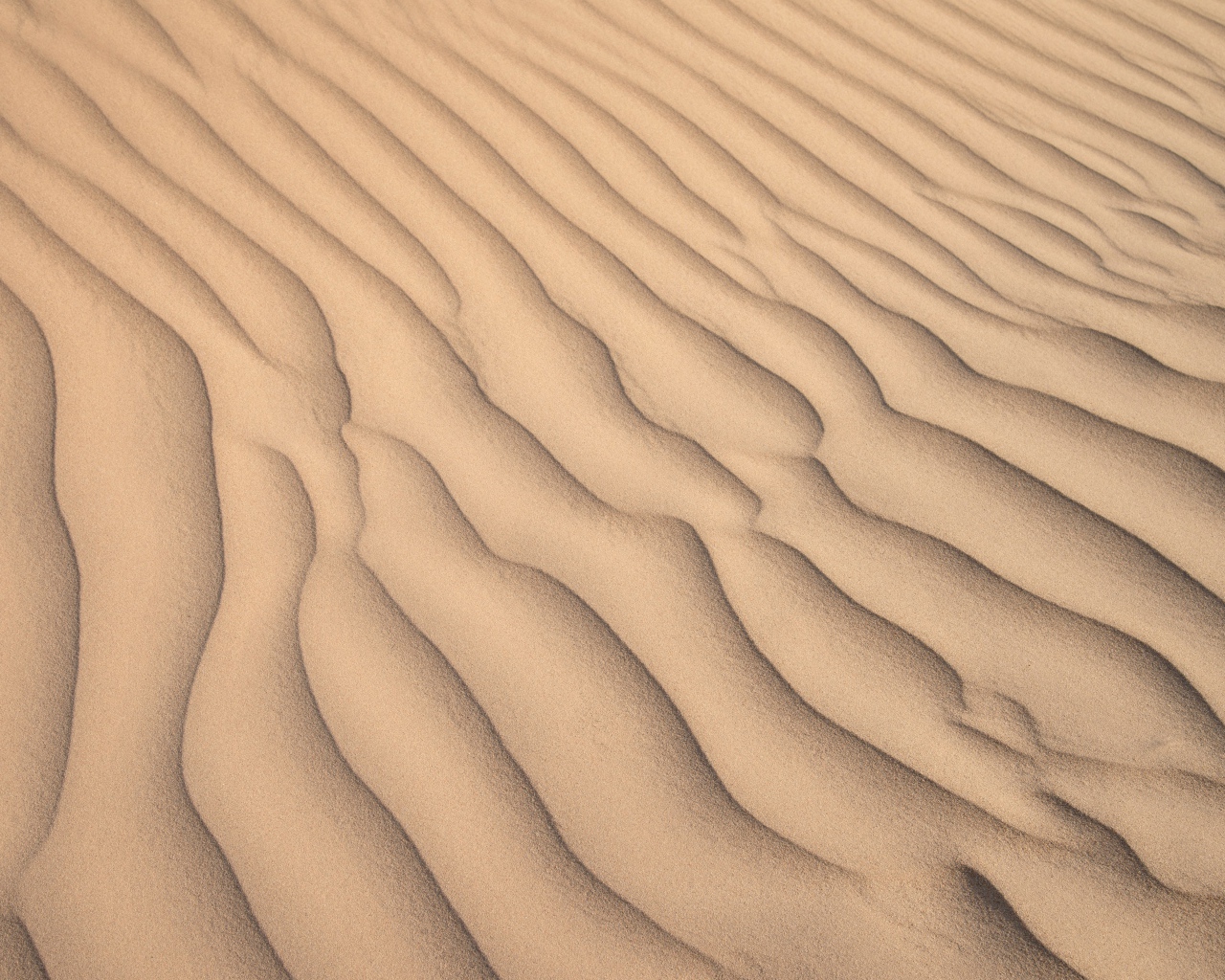 Волны на желтом песке в пустыне  