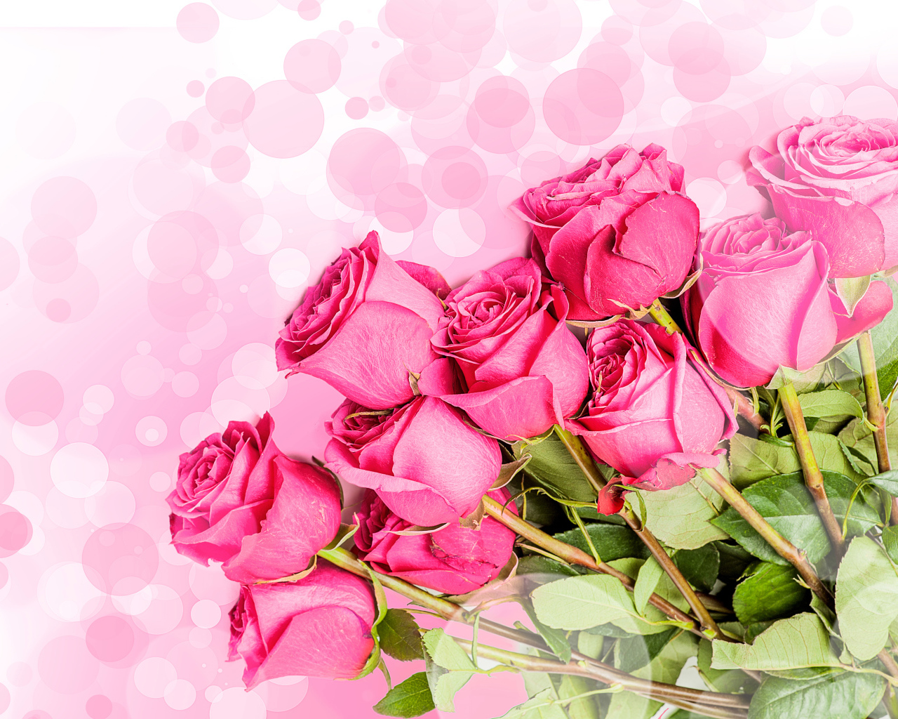 Букет розовых роз на фоне с розовыми кругами 