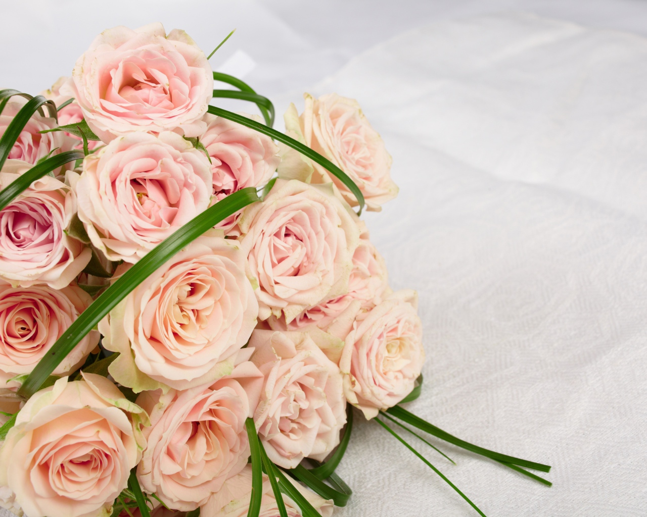 Букет розовых роз на белом покрывале 