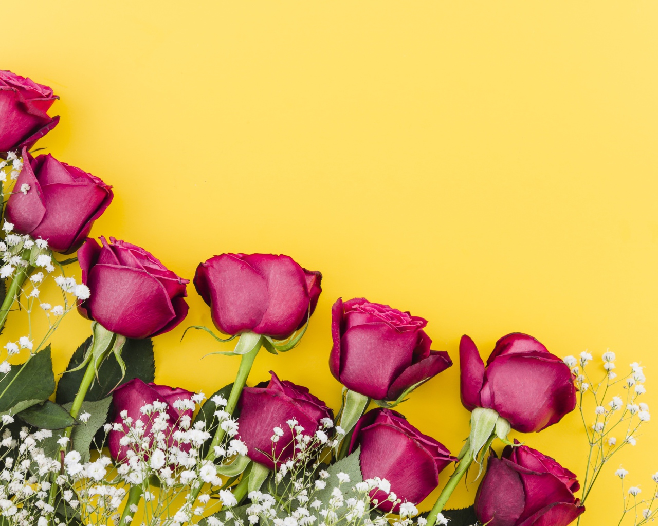 Букет роз с белыми цветами гипсофилы на желтом фоне