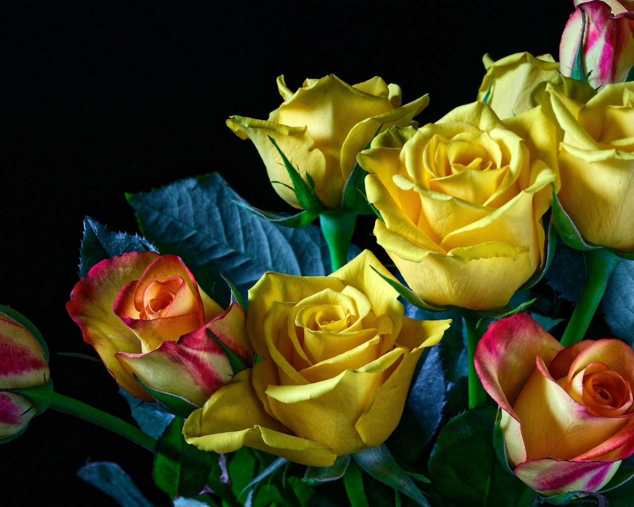 Букет желто - розовых роз на черном фоне