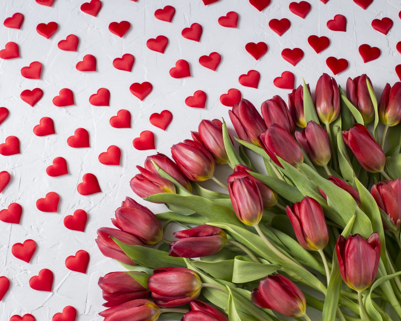 Большой букет красных тюльпанов на белом фоне с маленькими красными сердечками